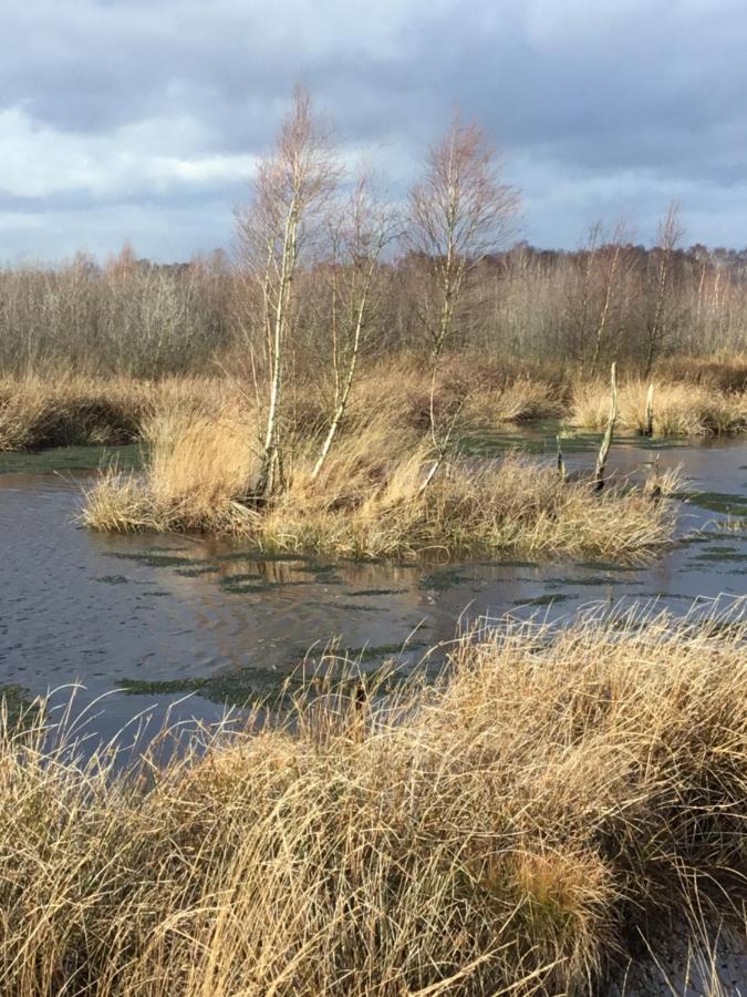 Kranich-Holzferienhaus 'Kleine Auszeit' Rehden Exteriör bild