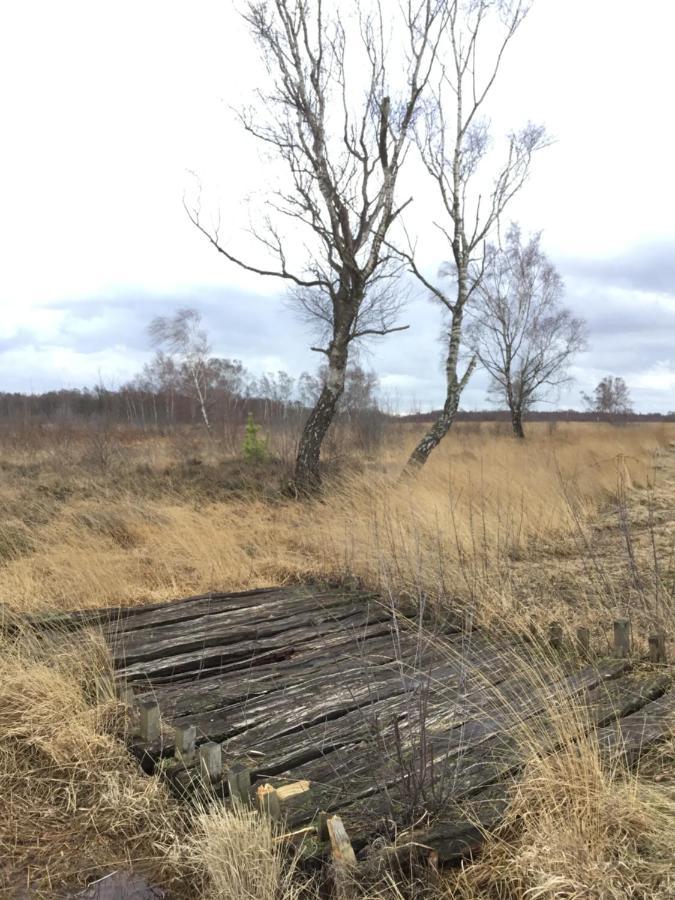 Kranich-Holzferienhaus 'Kleine Auszeit' Rehden Exteriör bild